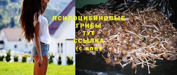 кокс Арсеньев